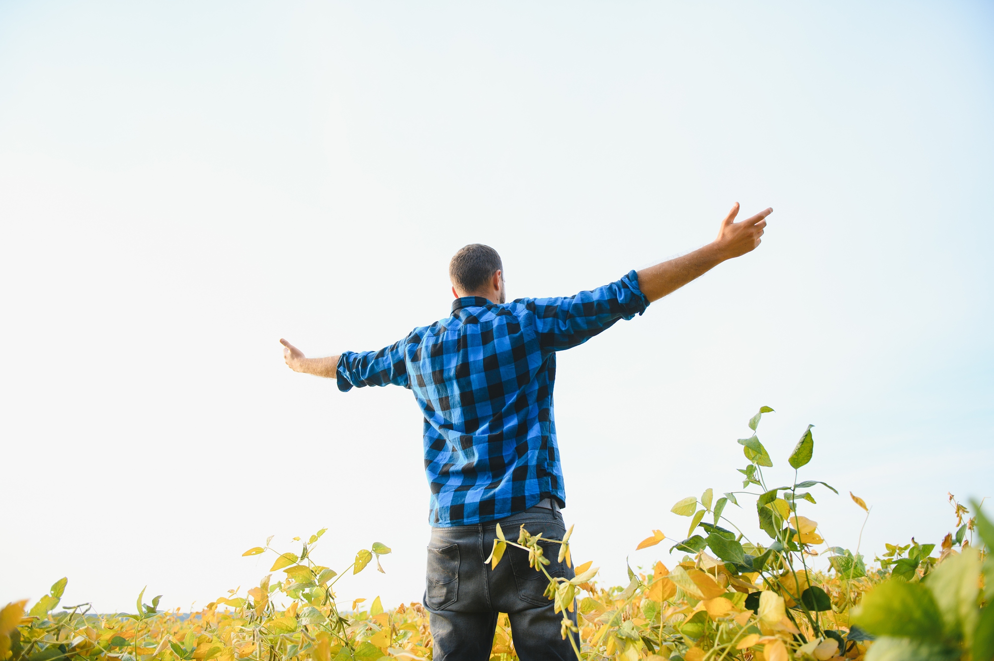 A person wearing a blue plaid shirt stands in a Tualatin field with arms outstretched, surrounded by green and yellow plants under a clear sky—a peaceful scene, reminiscent of the calm sought in Ketamine Therapy.