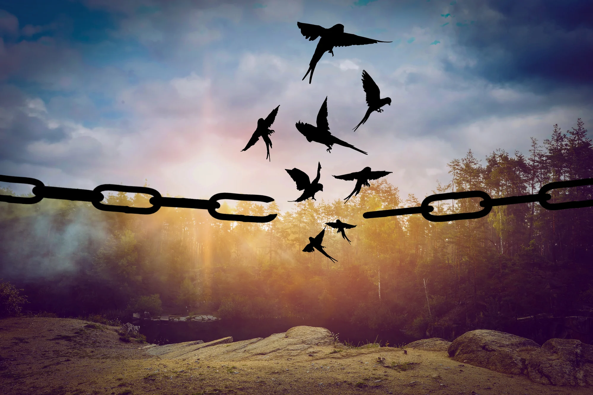 A group of birds flies through a gap in broken chains against a backdrop of a forest at sunset, symbolizing freedom and escape—much like the transformative journey offered by Ketamine Therapy in Beaverton.