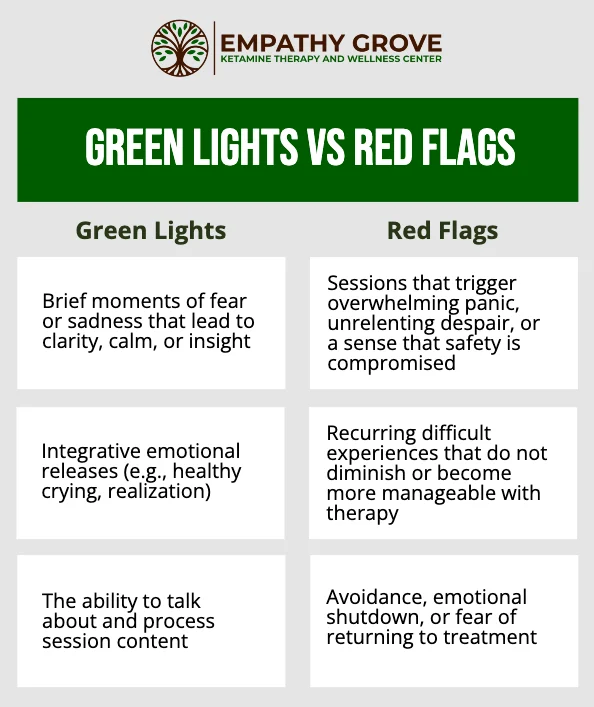 An infographic titled Green Lights vs Red Flags from Empathy Grove lists healthy (Green Lights) and concerning (Red Flags) therapy responses in three columns, contrasting clear, healthy progress with troubling patterns.