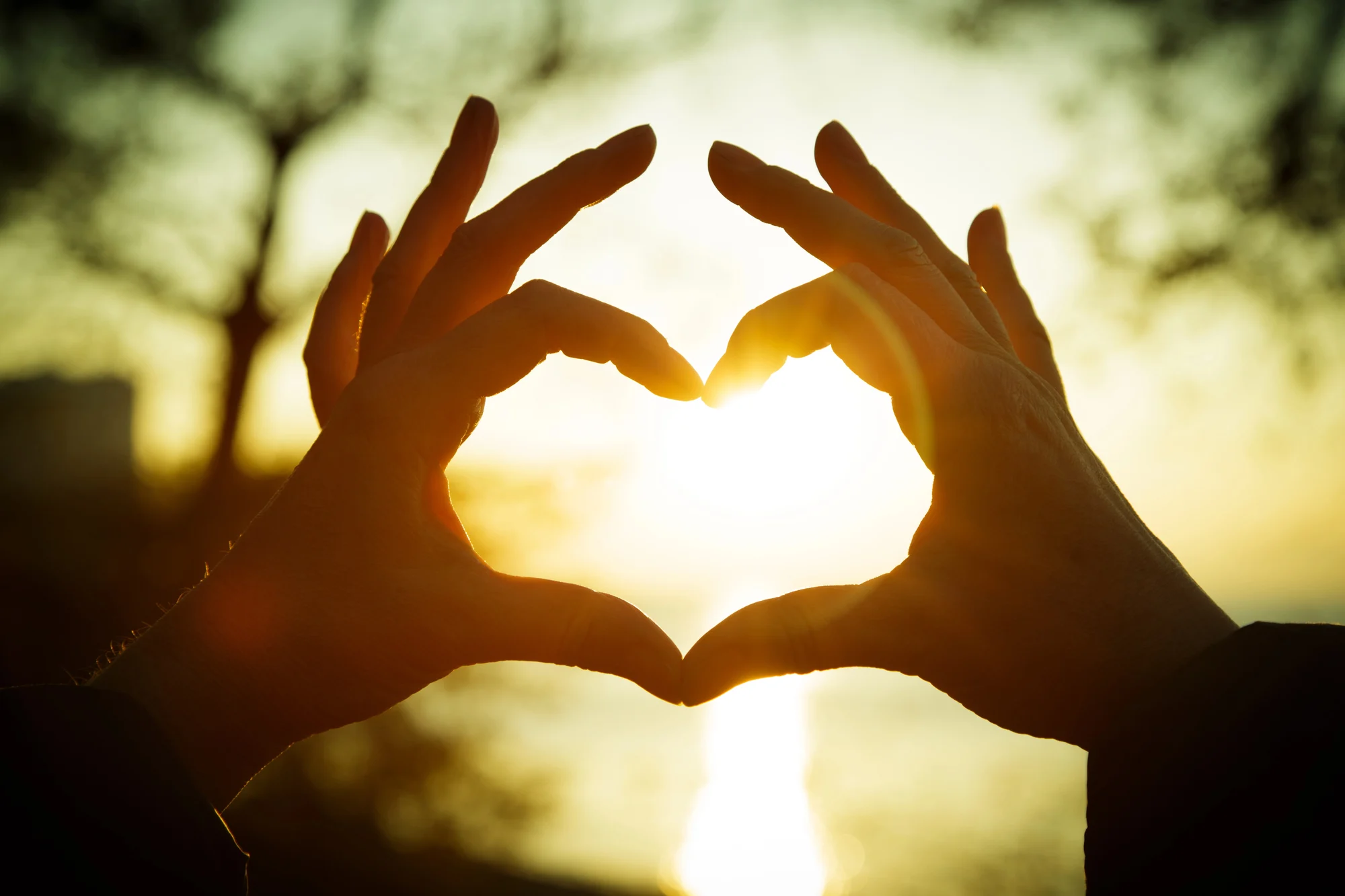 Two hands form a heart shape against a golden sunset in Oregon City, with sunlight shining through the center—symbolizing hope and healing like ketamine therapy—while blurred trees create a serene backdrop.