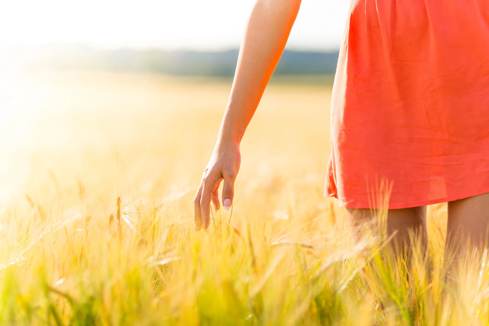 A person in an orange dress walks through a sunny Gresham field of tall grass, gently touching the grasses with their hand. The scene is bright and peaceful, evoking a sense of warmth and relaxation.