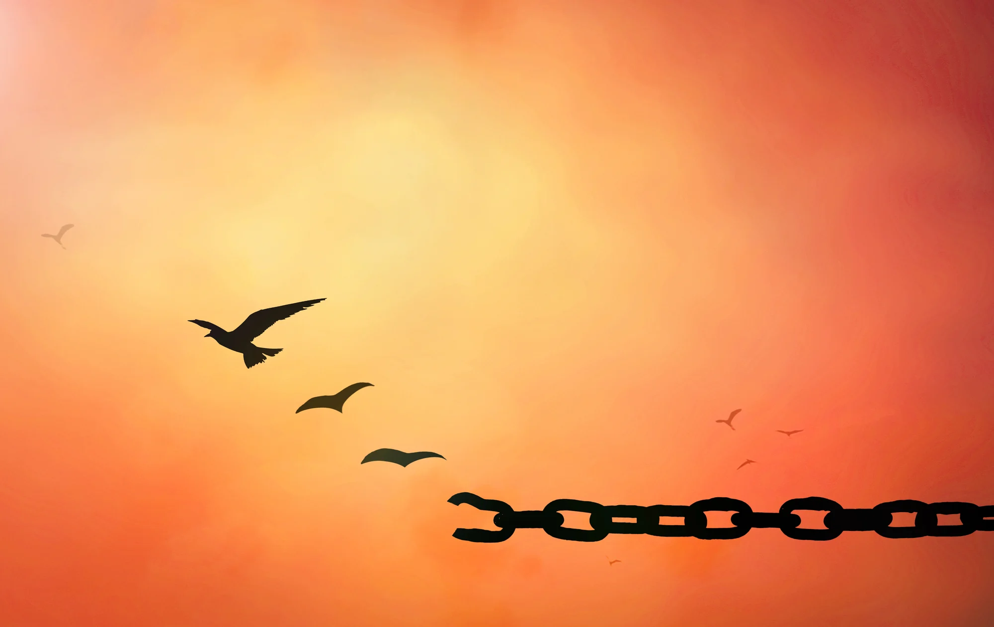 Silhouette of birds flying freely in a warm, orange sky with a broken chain in the lower right corner, symbolizing freedom—much like breaking free from constraints through ketamine therapy.