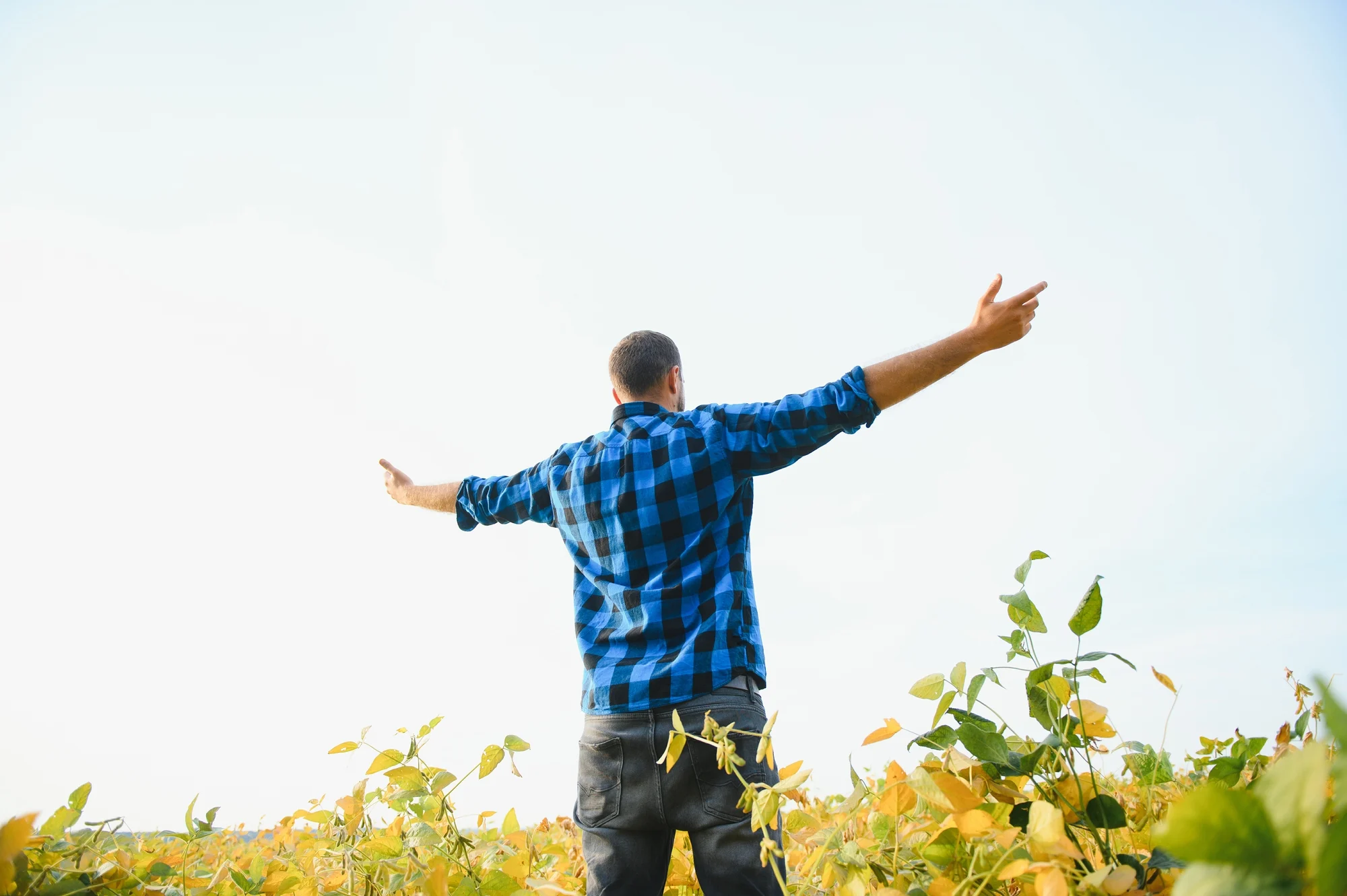 A person wearing a blue plaid shirt stands in a Tualatin field with arms outstretched, surrounded by green and yellow plants under a clear sky—a peaceful scene, reminiscent of the calm sought in Ketamine Therapy.