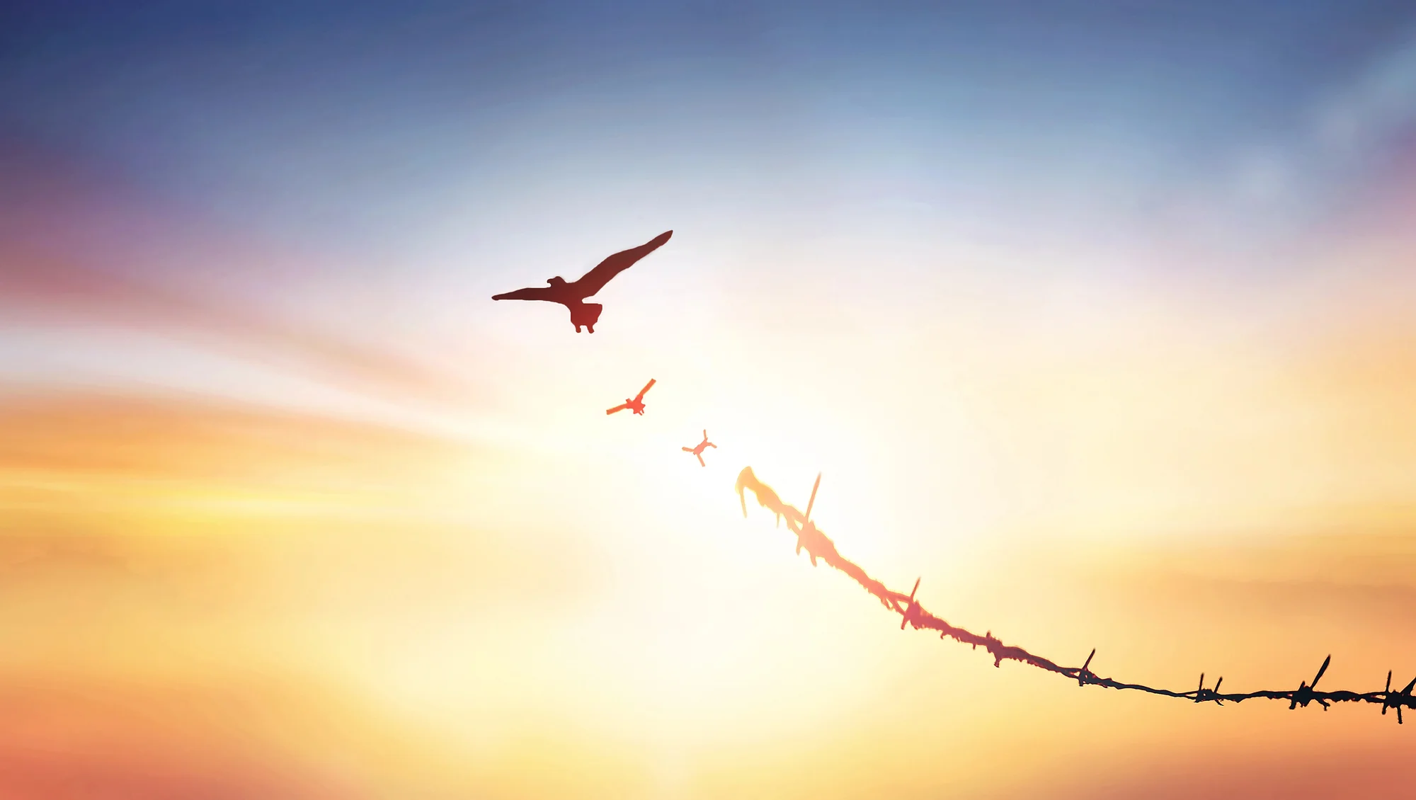 Silhouettes of birds flying above barbed wire against a bright, colorful sunrise sky in Tualatin, symbolizing freedom and hope—much like the transformative journey found through Ketamine Therapy.